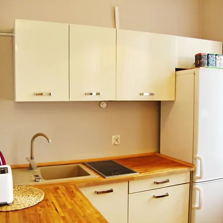 Magnolia City Centre Apartment Krakow